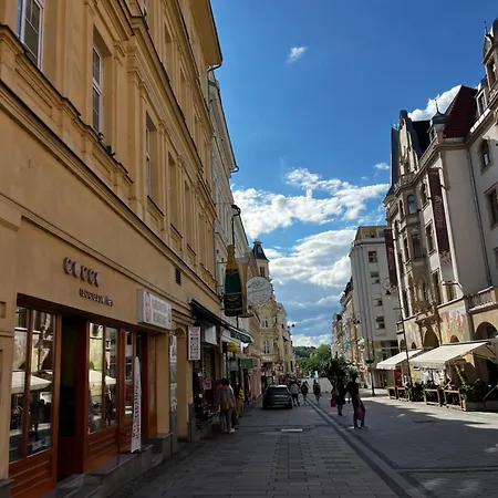 Stylish Centre Apartment Tgm Karlovy Vary Exterior photo